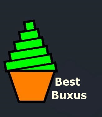 Best Buxus